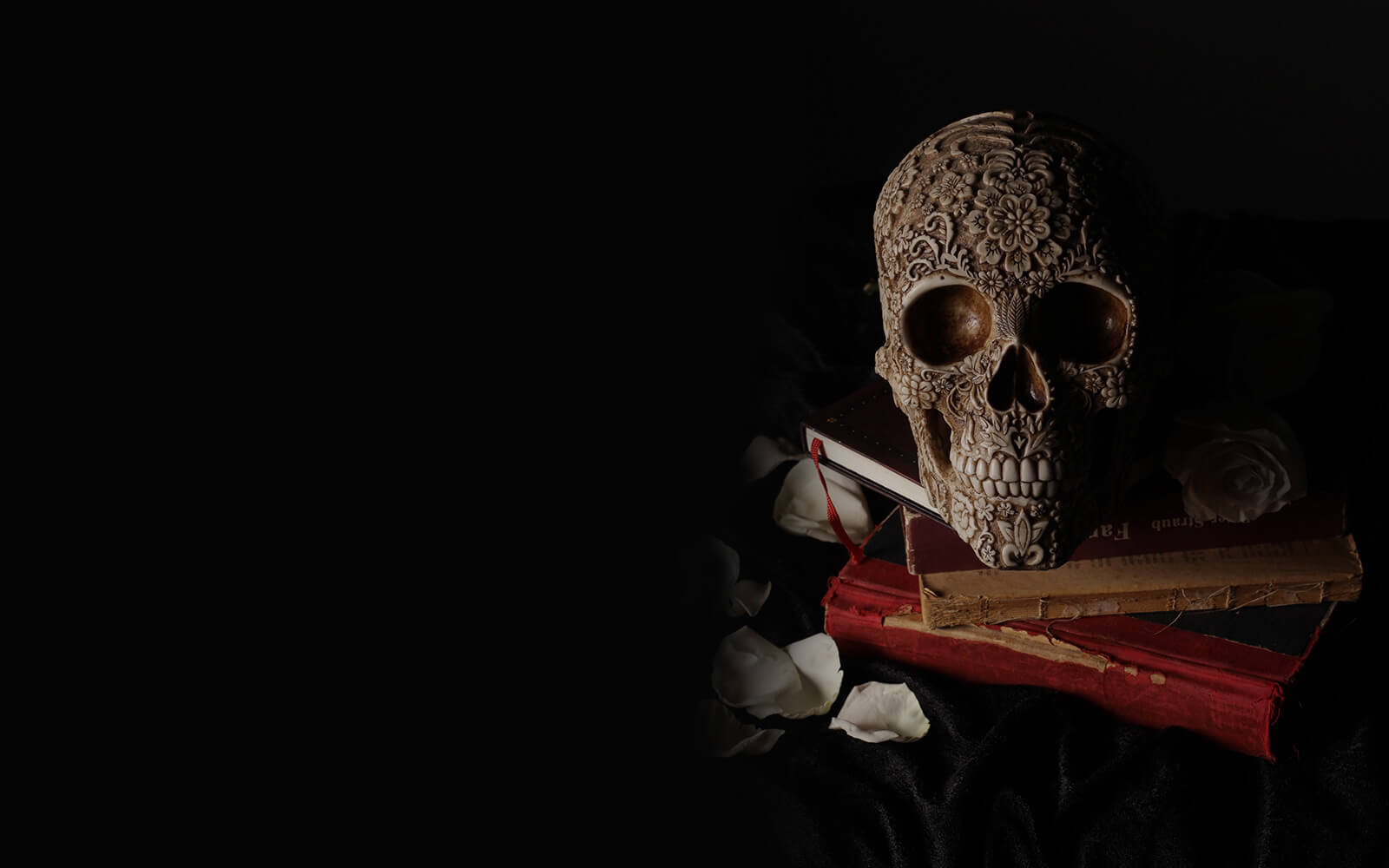 spooky halloween book recommendations for bibliophiles guide